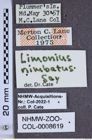 Etiketten zu Tetralimonius nimbatus (NHMW-ZOO-COL-0008619)